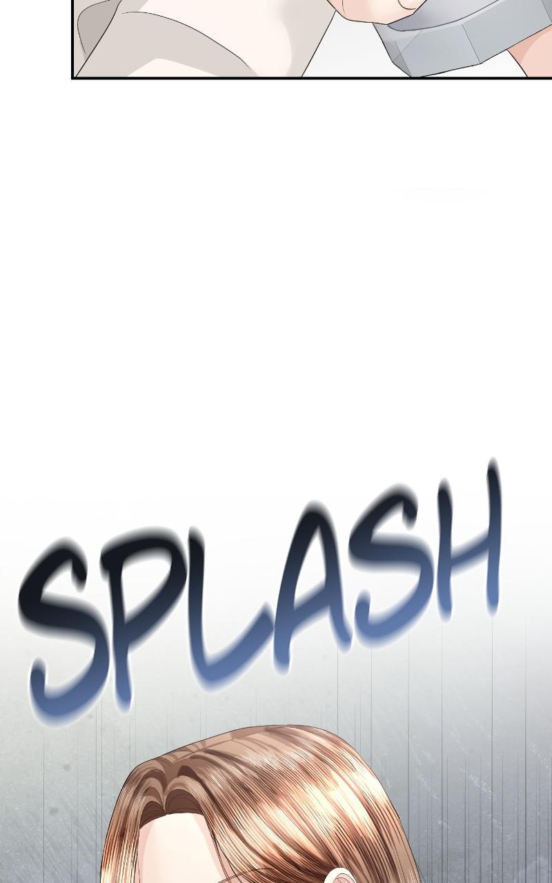 Read Perfect Marriage Revenge EN Manga Online