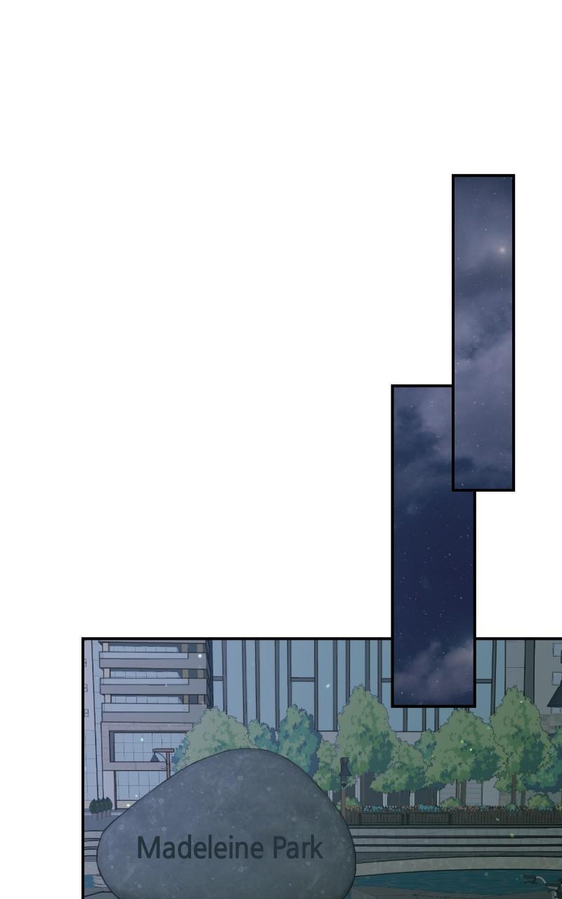 Read Perfect Marriage Revenge EN Manga Online