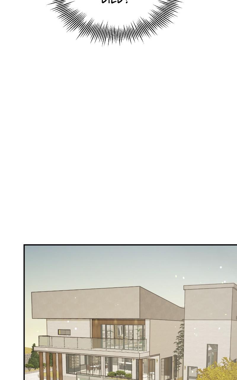 Read Perfect Marriage Revenge EN Manga Online