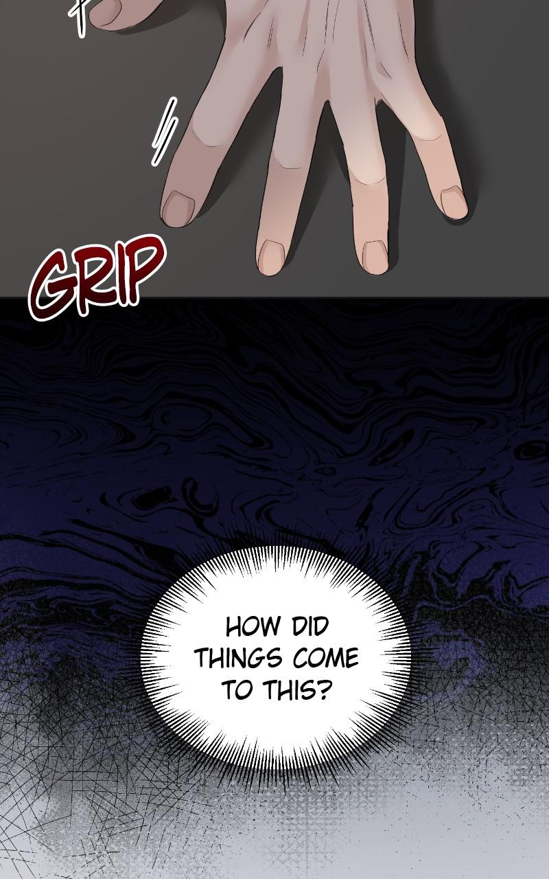 Read Perfect Marriage Revenge EN Manga Online