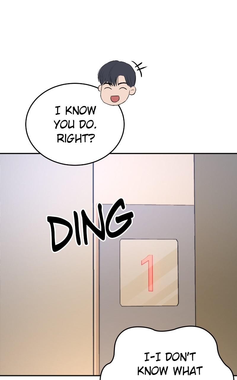 Read Perfect Marriage Revenge EN Manga Online