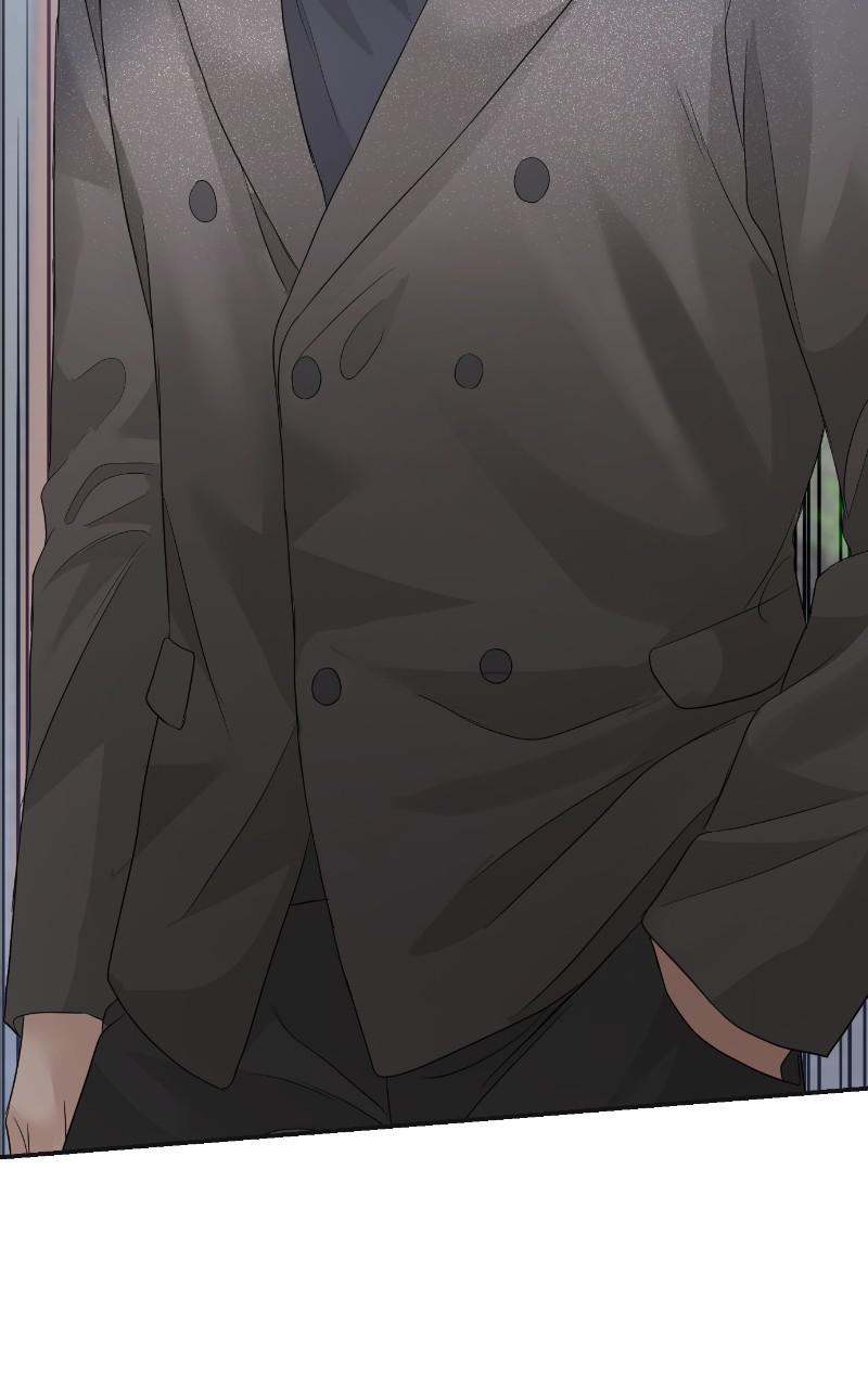 Read Perfect Marriage Revenge EN Manga Online