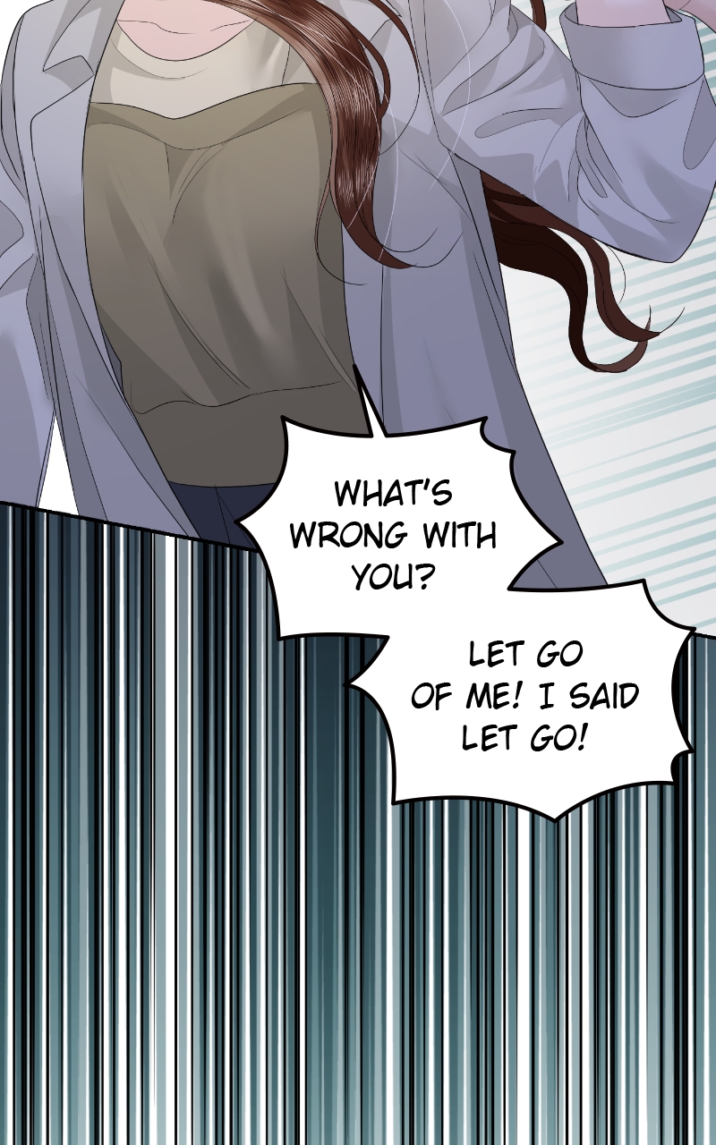 Read Perfect Marriage Revenge EN Manga Online