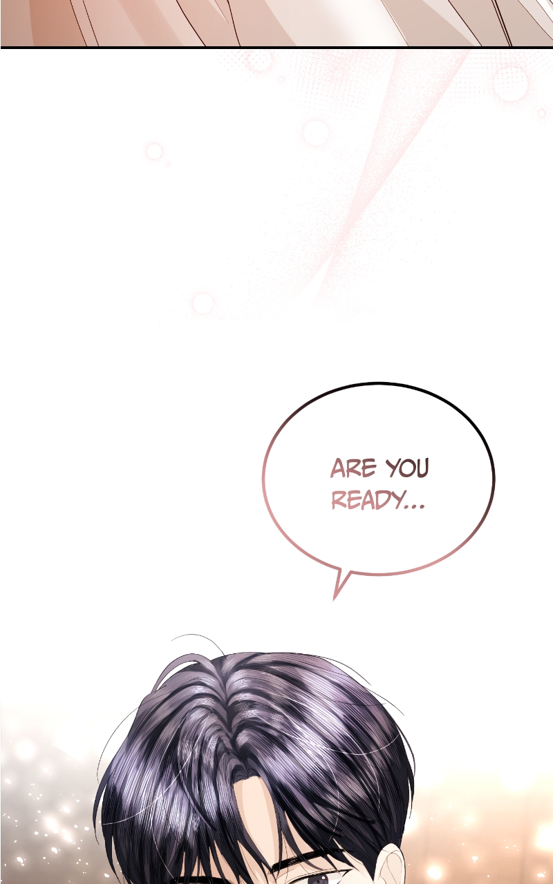 Read Perfect Marriage Revenge EN Manga Online