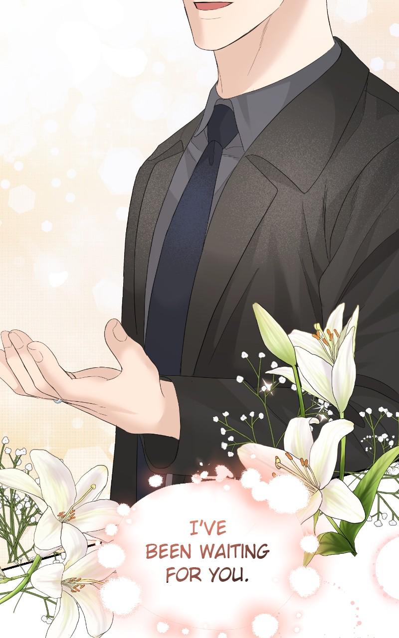 Read Perfect Marriage Revenge EN Manga Online