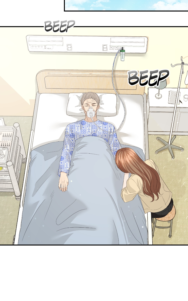 Read Perfect Marriage Revenge EN Manga Online