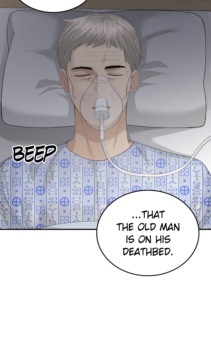 Read Perfect Marriage Revenge EN Manga Online