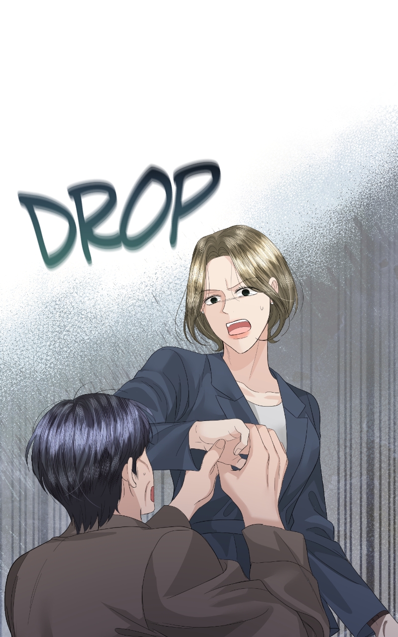 Read Perfect Marriage Revenge EN Manga Online