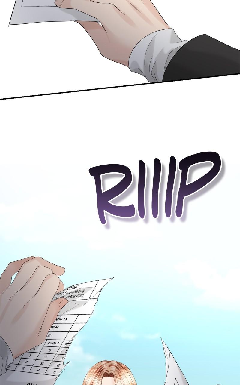 Read Perfect Marriage Revenge EN Manga Online