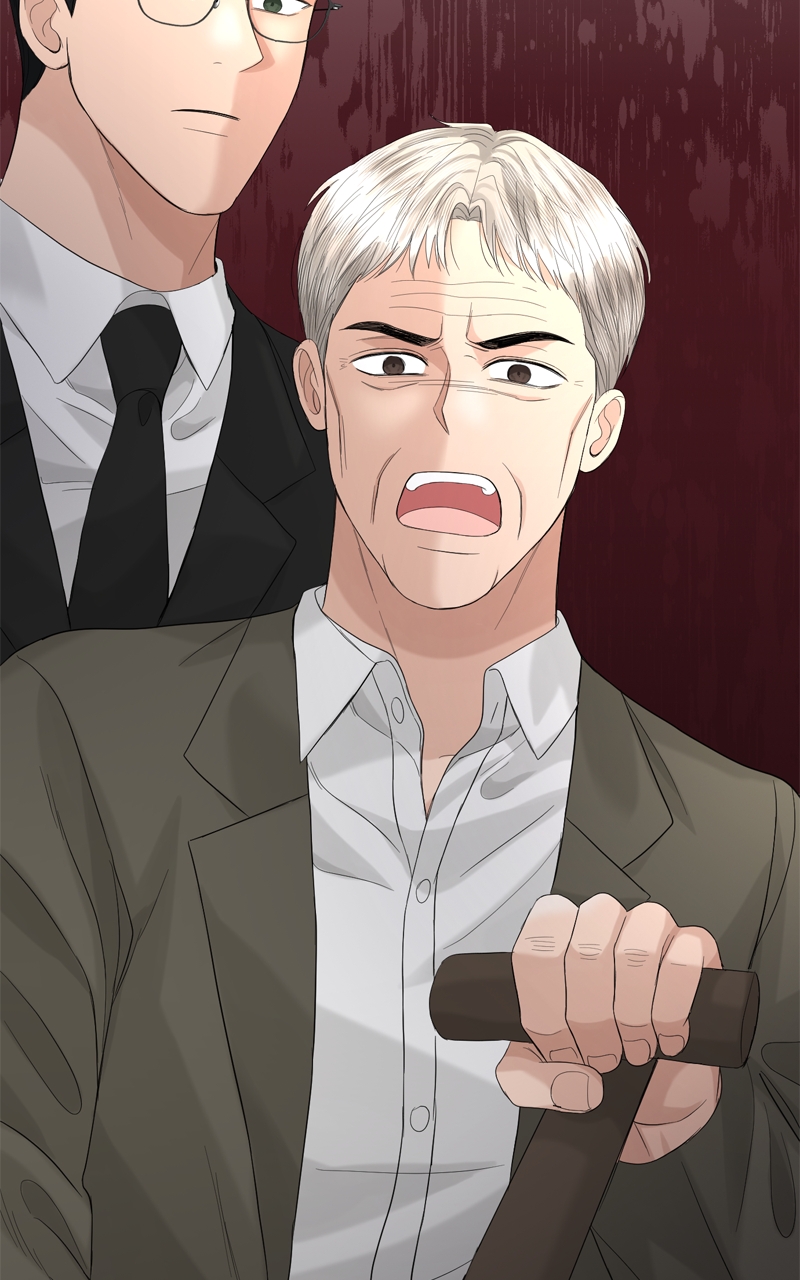 Read Perfect Marriage Revenge EN Manga Online