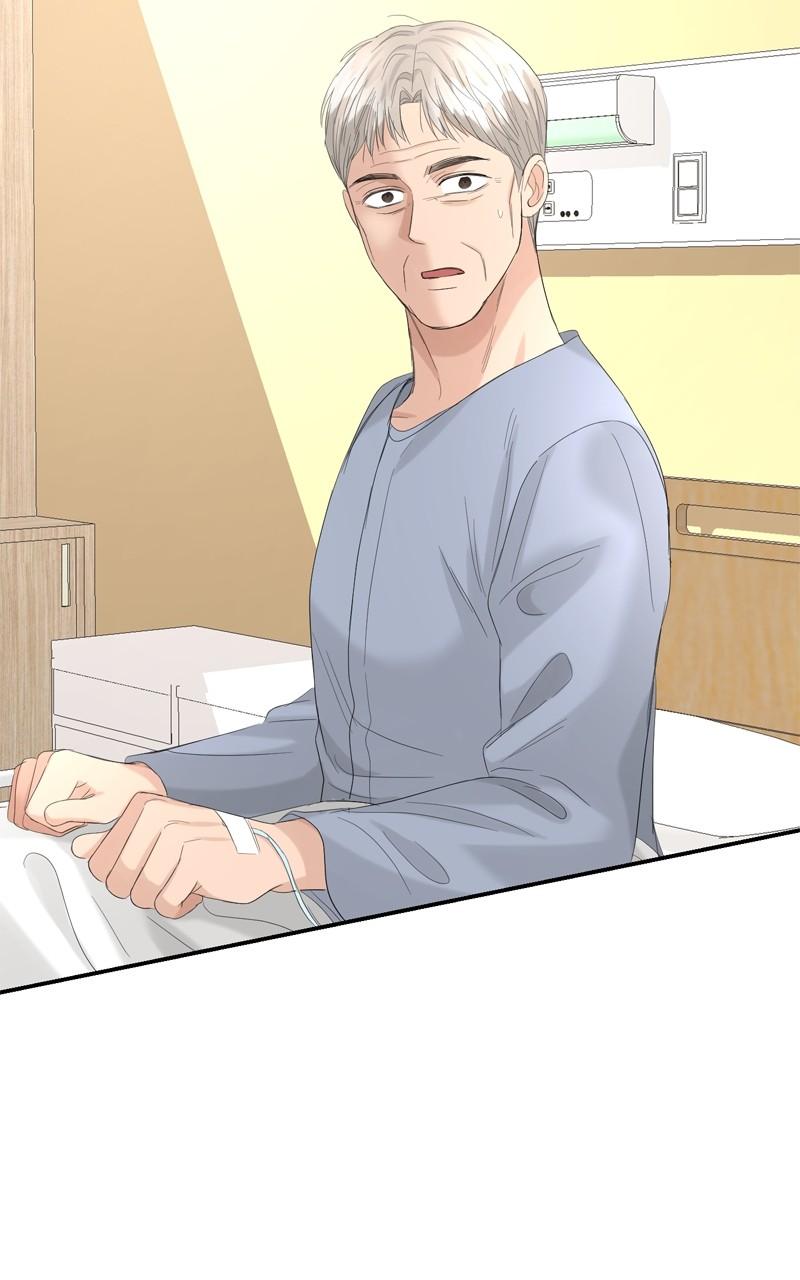 Read Perfect Marriage Revenge EN Manga Online