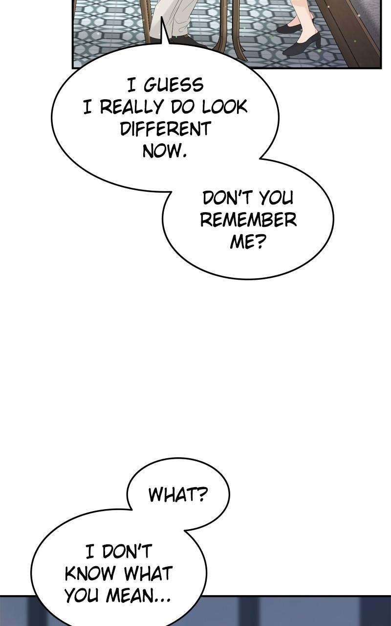 Read Perfect Marriage Revenge EN Manga Online