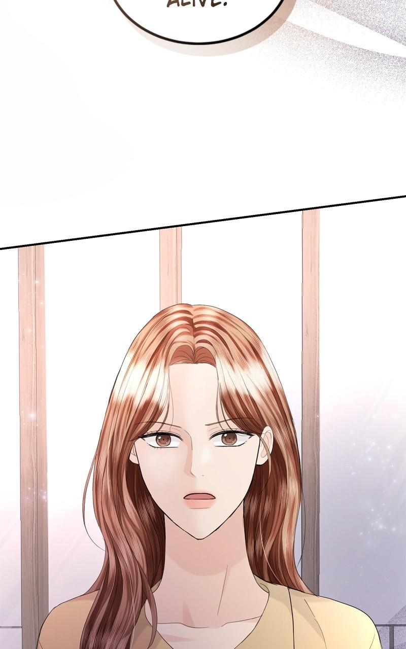 Read Perfect Marriage Revenge EN Manga Online