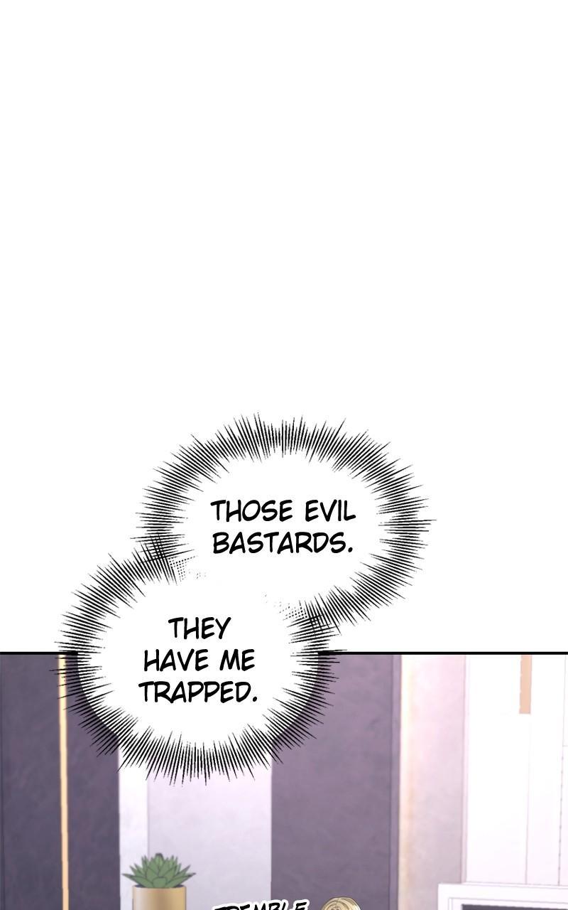 Read Perfect Marriage Revenge EN Manga Online