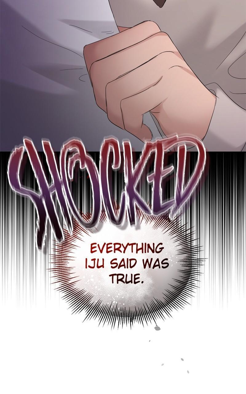 Read Perfect Marriage Revenge EN Manga Online