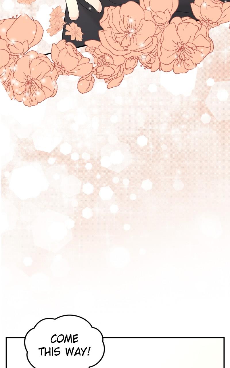 Read Perfect Marriage Revenge EN Manga Online