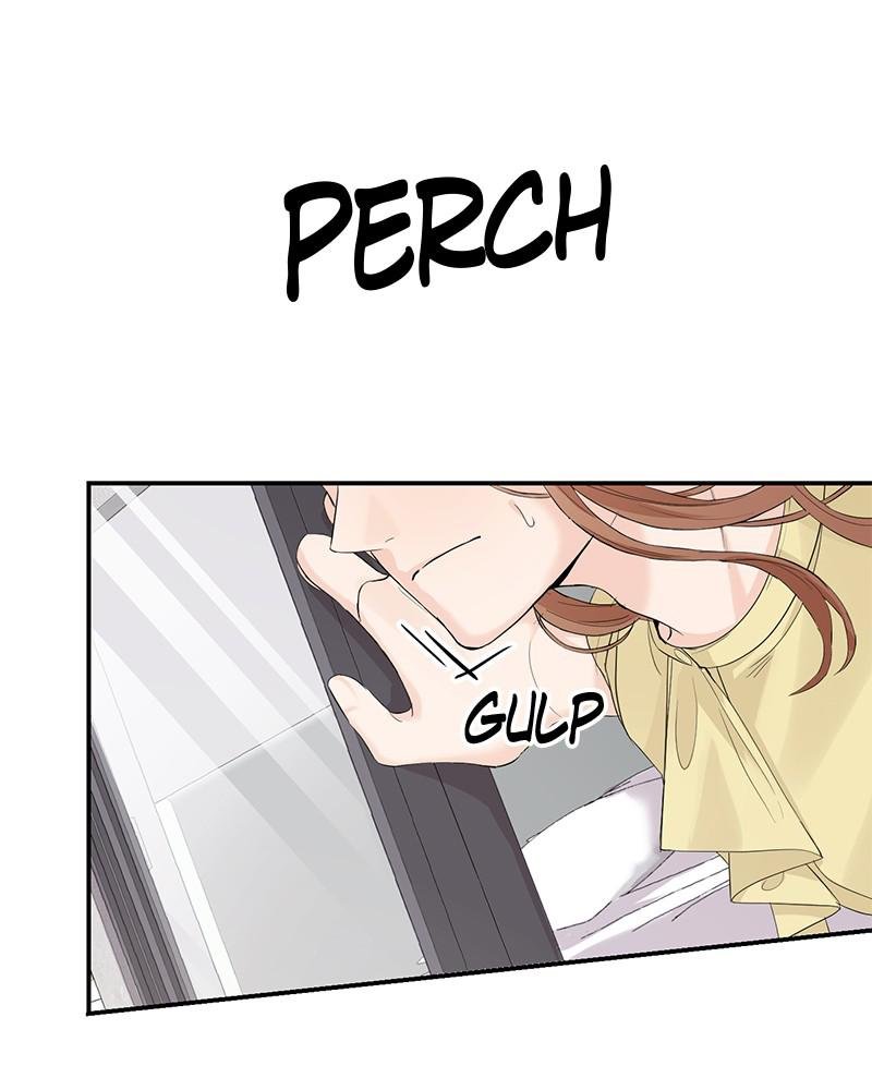 Read Perfect Marriage Revenge EN Manga Online