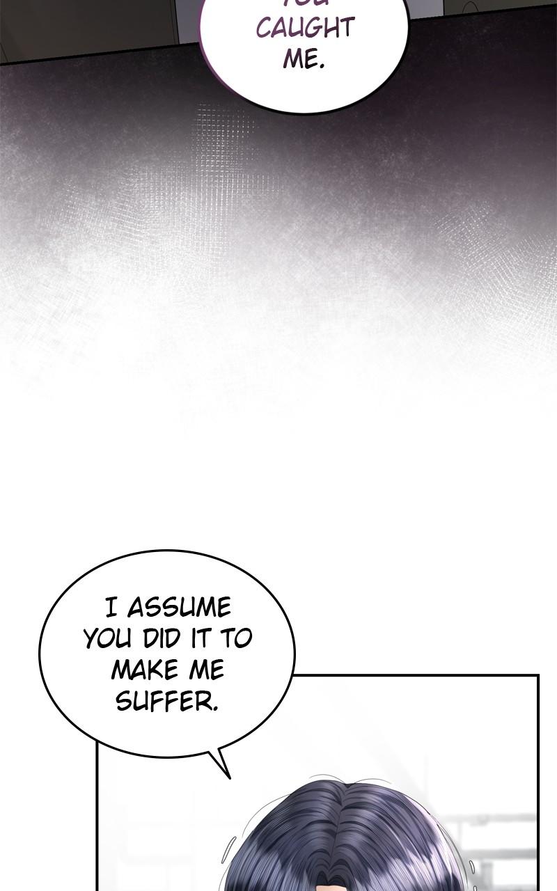 Read Perfect Marriage Revenge EN Manga Online