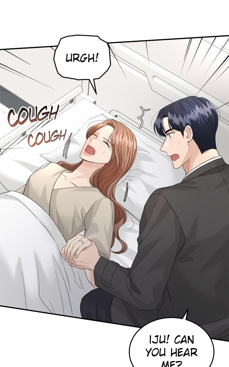 Read Perfect Marriage Revenge EN Manga Online