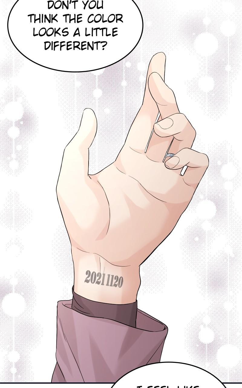 Read Perfect Marriage Revenge EN Manga Online