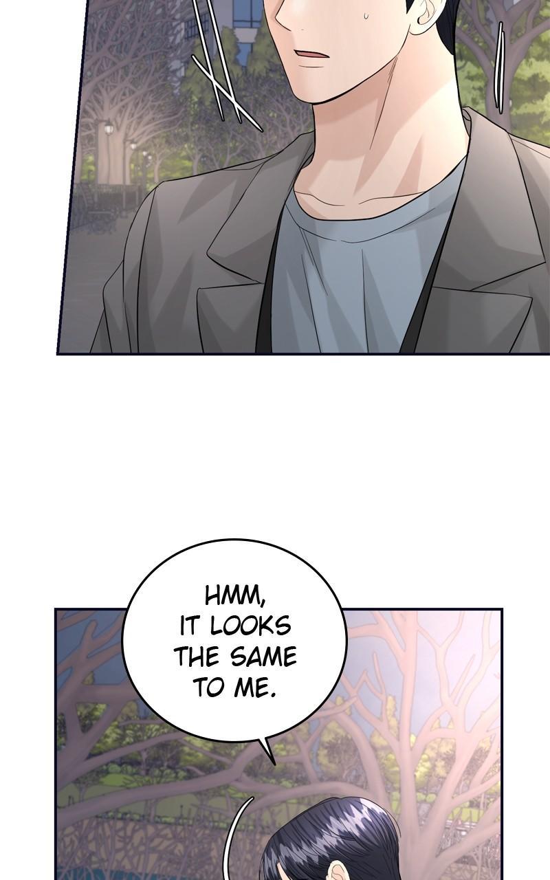 Read Perfect Marriage Revenge EN Manga Online