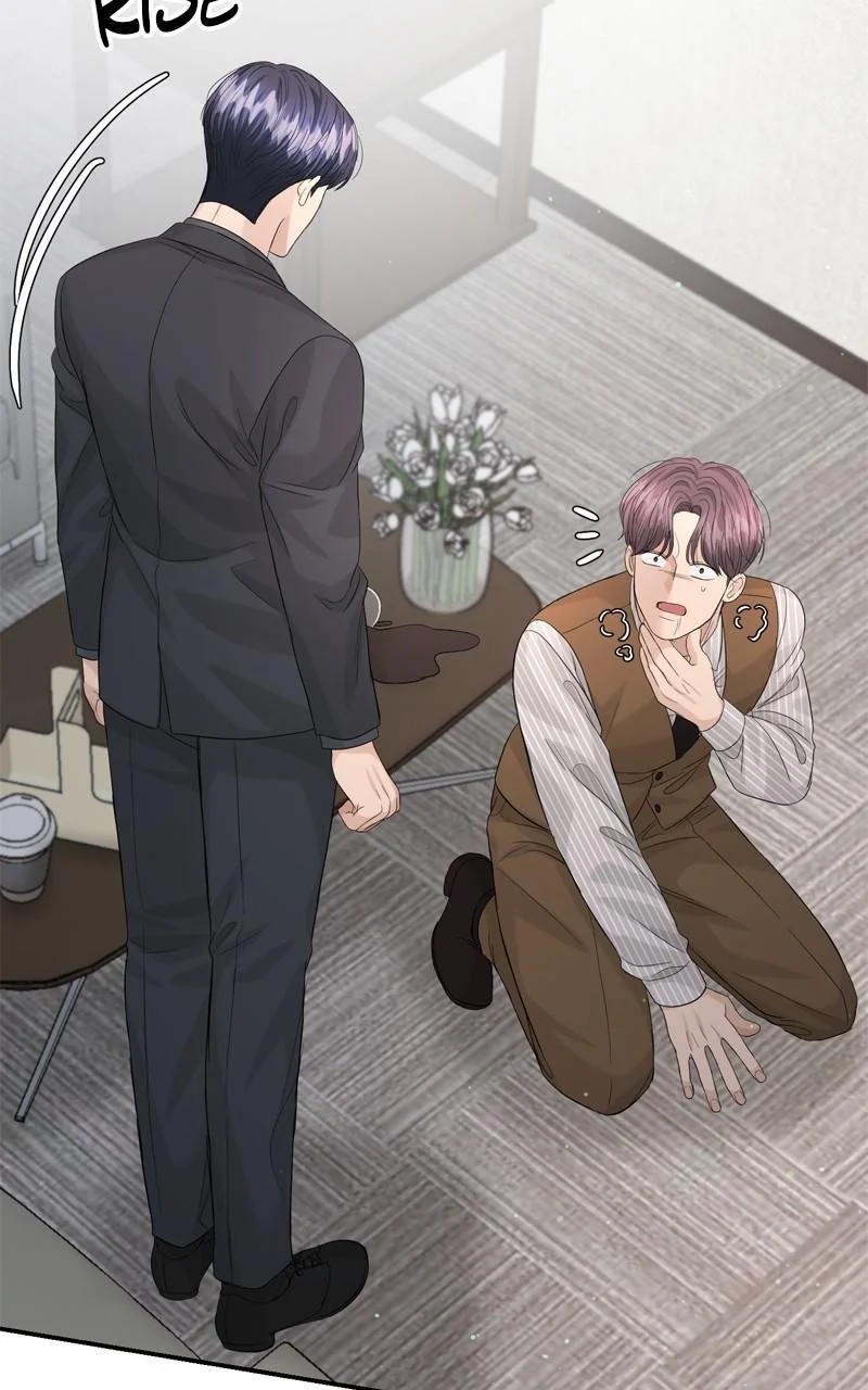 Read Perfect Marriage Revenge EN Manga Online