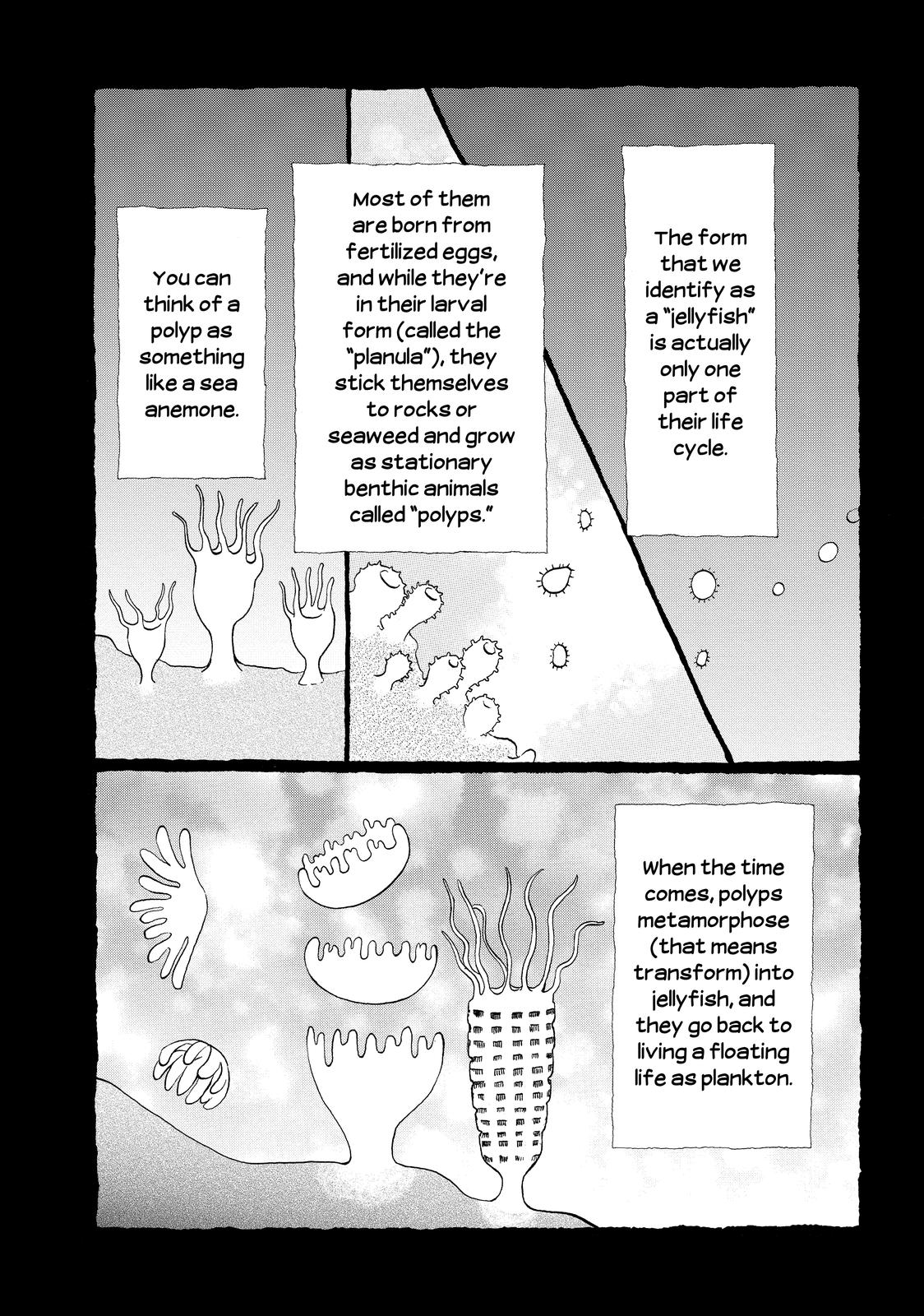 Read Princess Jellyfish EN Manga Online