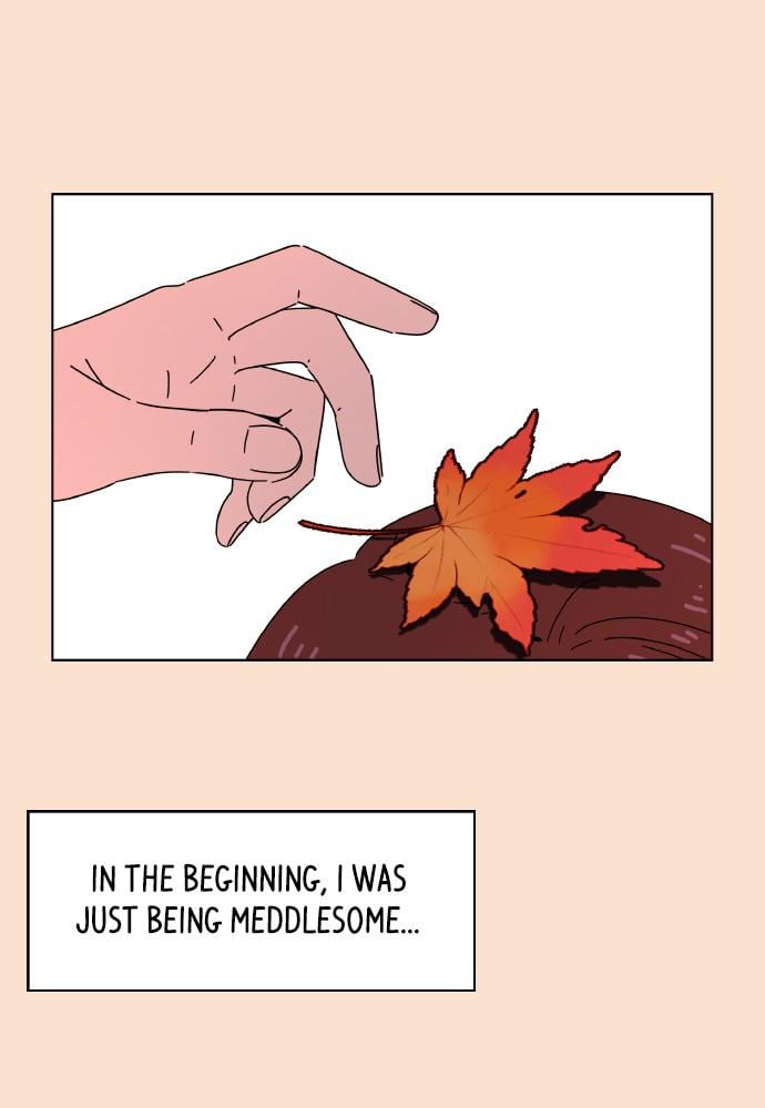 Read Seasons of Blossom EN Manga Online