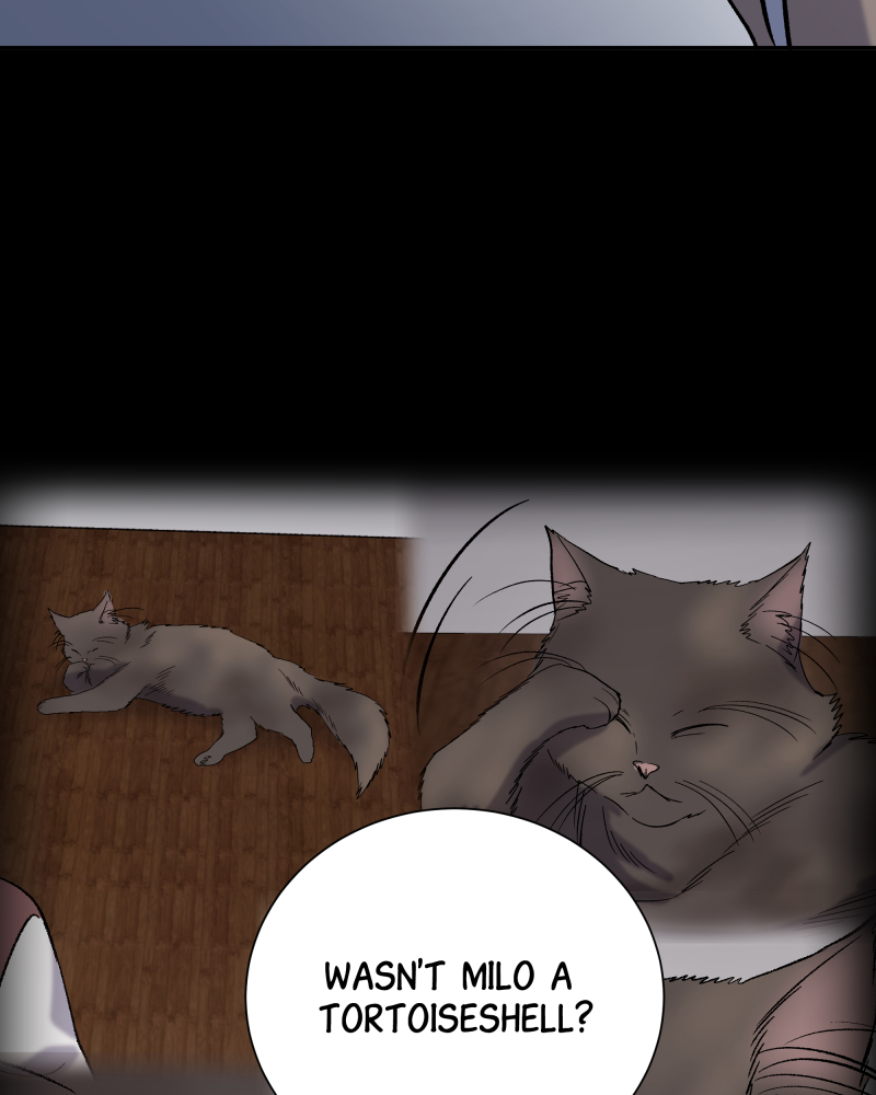 Read The Guy Upstairs EN Manga Online