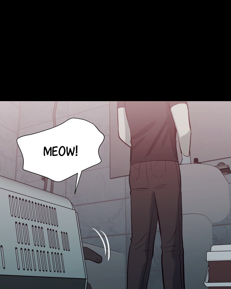 Read The Guy Upstairs EN Manga Online