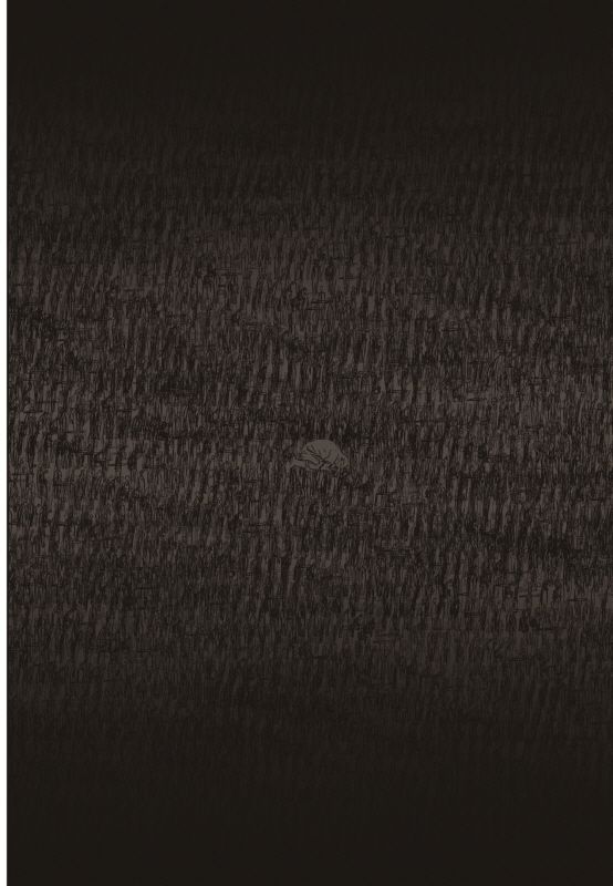 Read The Horizon EN Manga Online