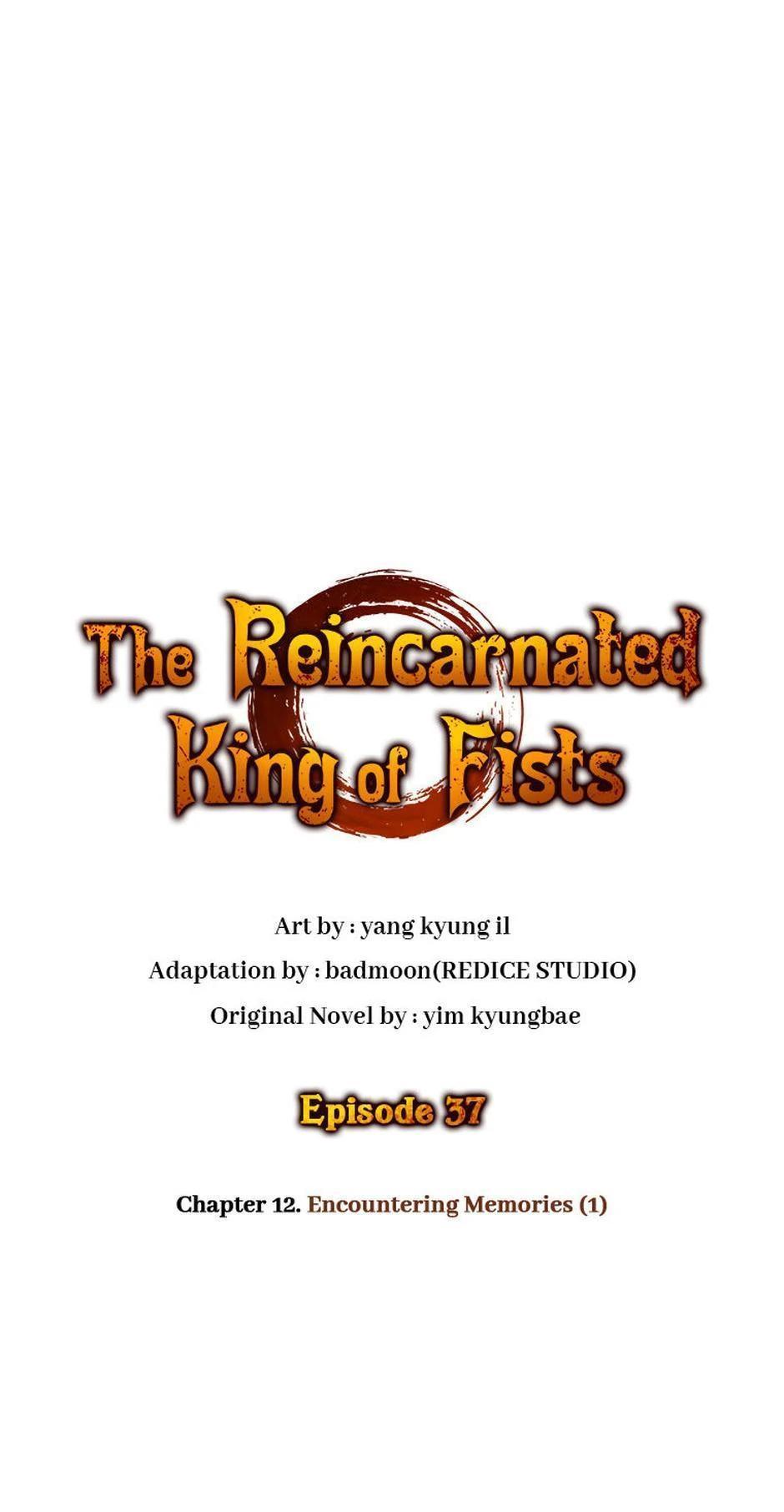 Read The Reincarnated King of Fists EN Manga Online