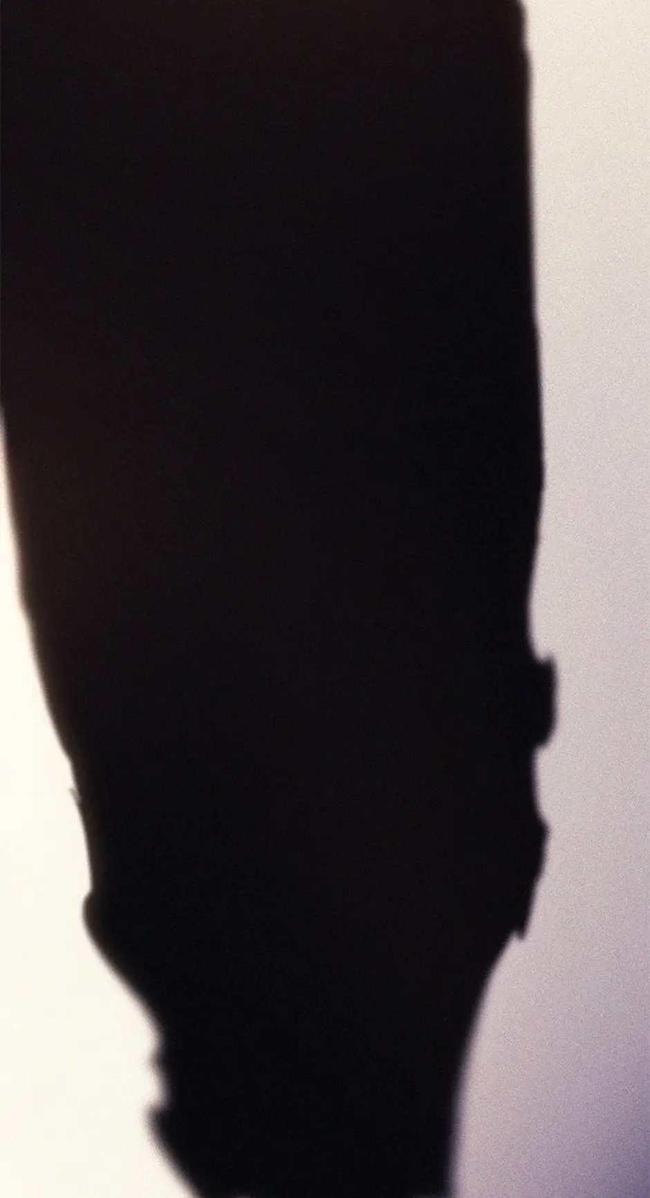 Read The Reincarnated King of Fists EN Manga Online