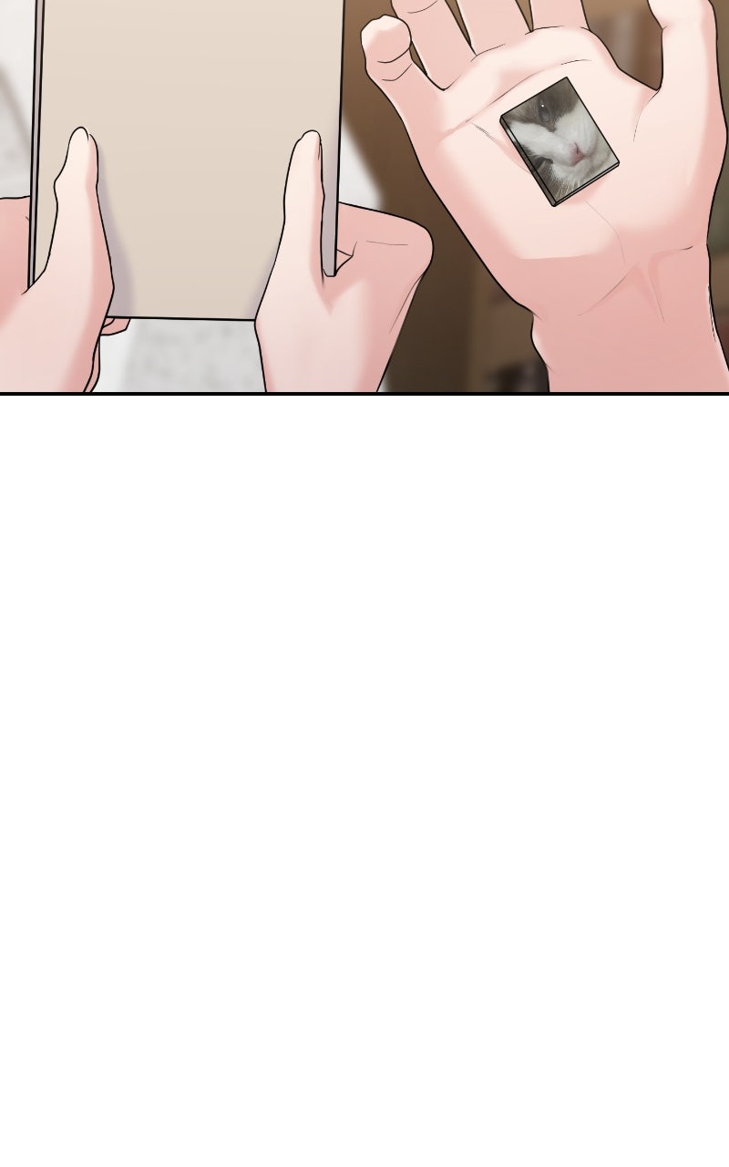 Read This is a Campus Romance Series EN Manga Online