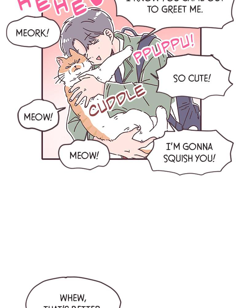 Read When The Day Comes EN Manga Online