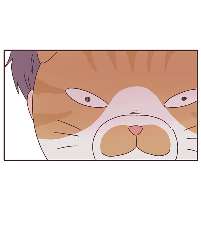 Read When The Day Comes EN Manga Online