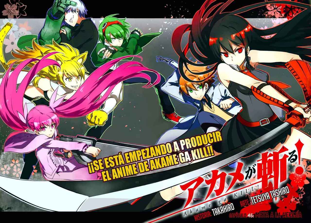 Read Akame ga Kill! ES Manga Online