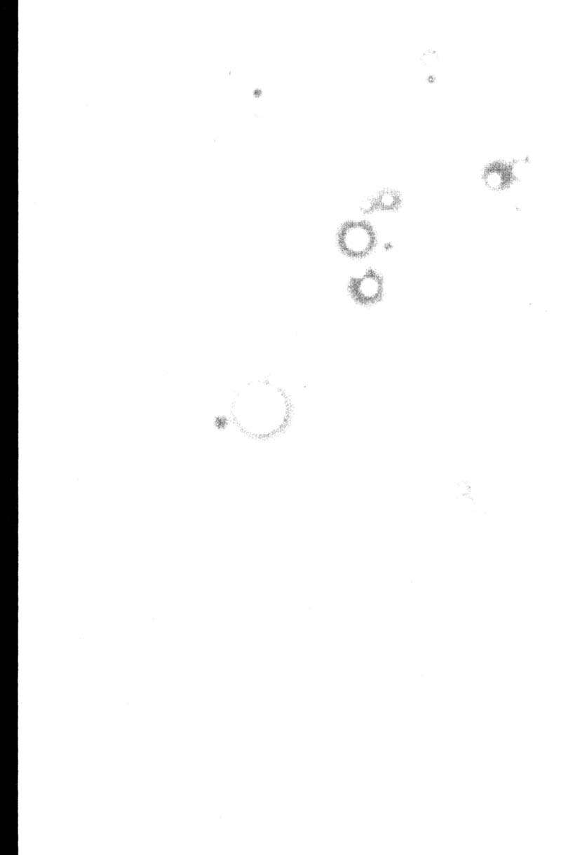 Read GTO ES Manga Online