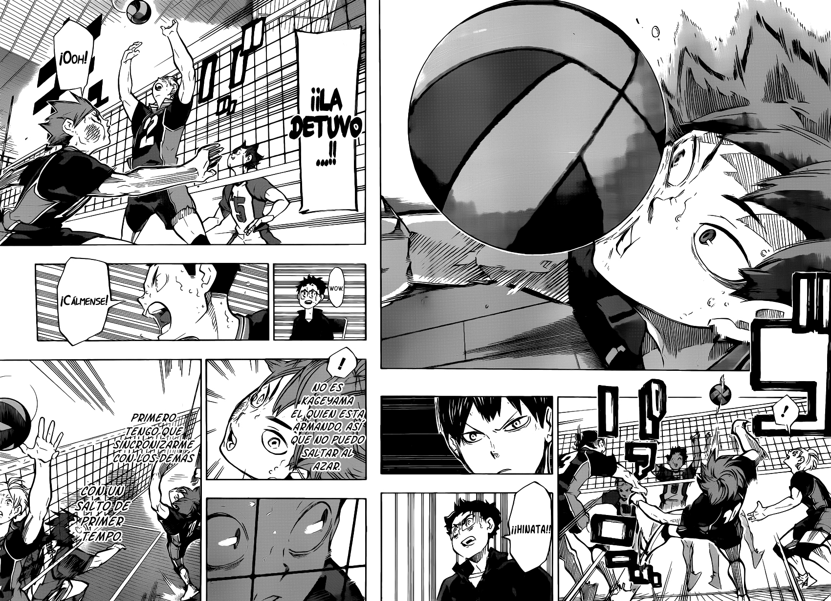 Read Haikyuu!! ES Manga Online