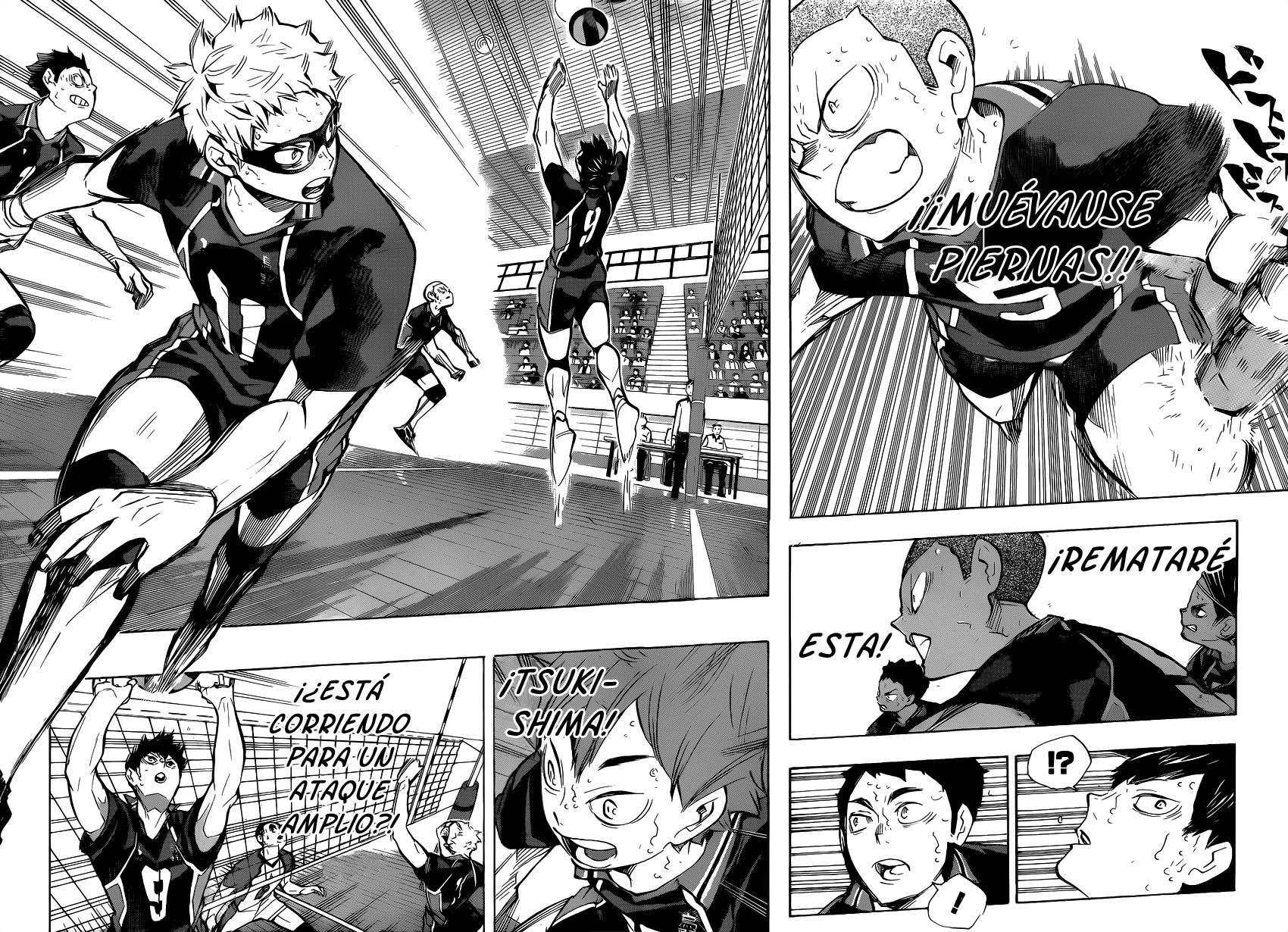 Read Haikyuu!! ES Manga Online