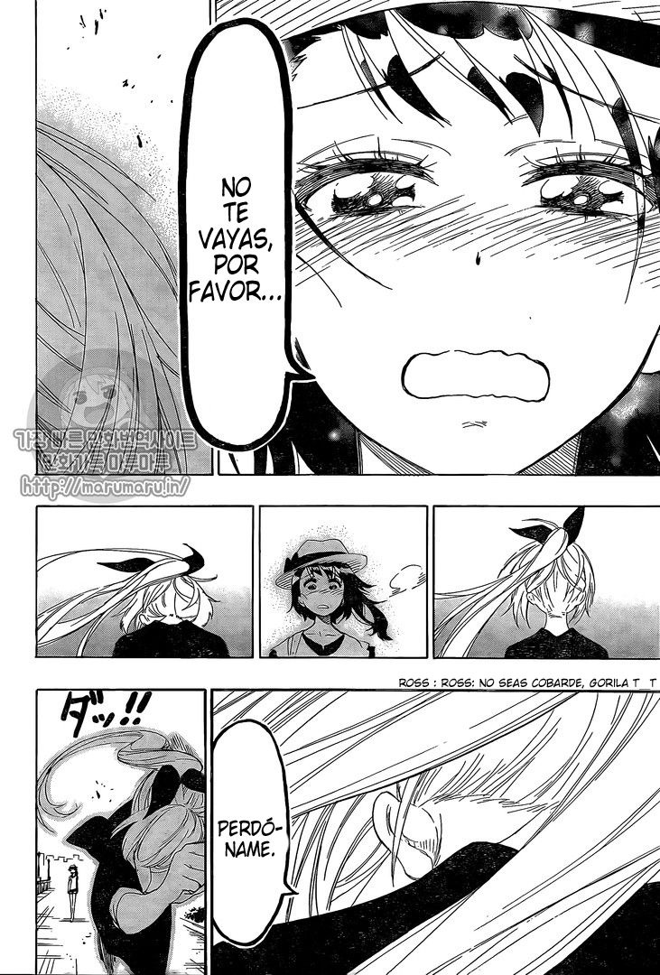 Read Nisekoi ES Manga Online