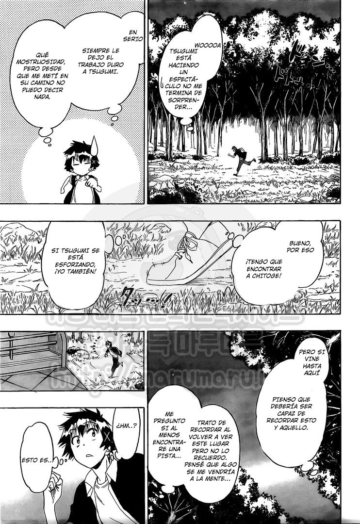 Read Nisekoi ES Manga Online