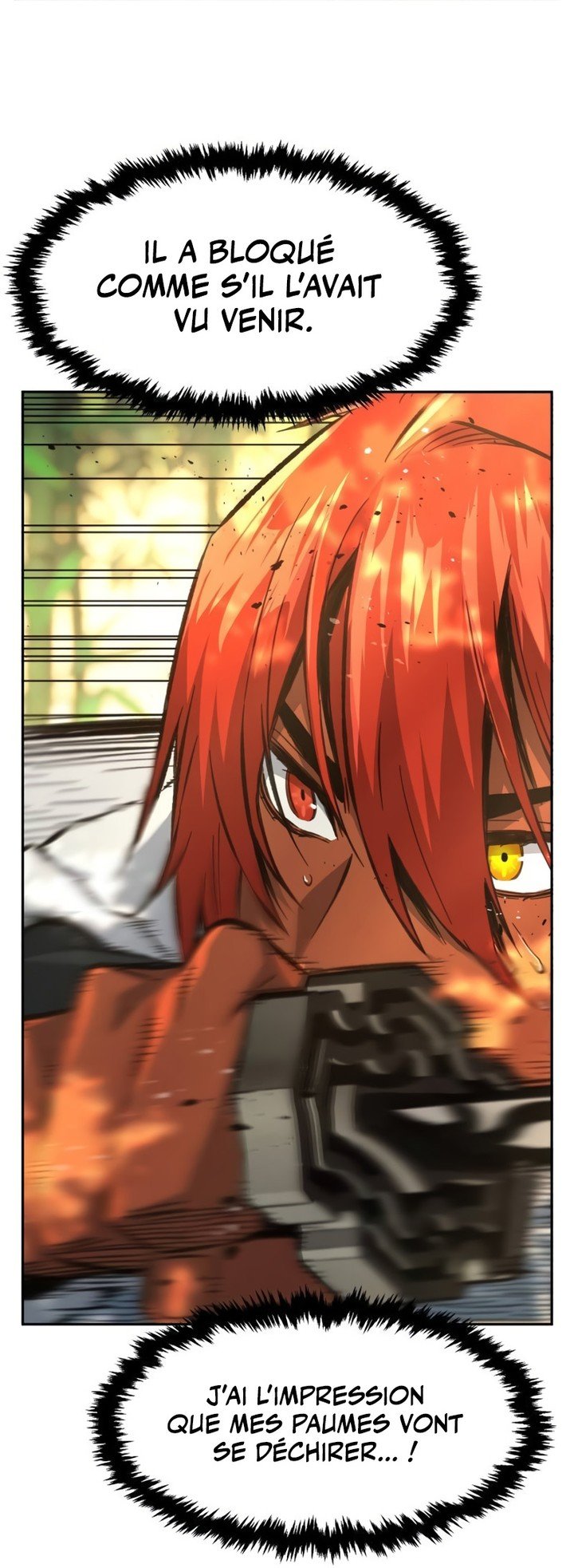 Read Absolute Sword Sense FR Manga Online