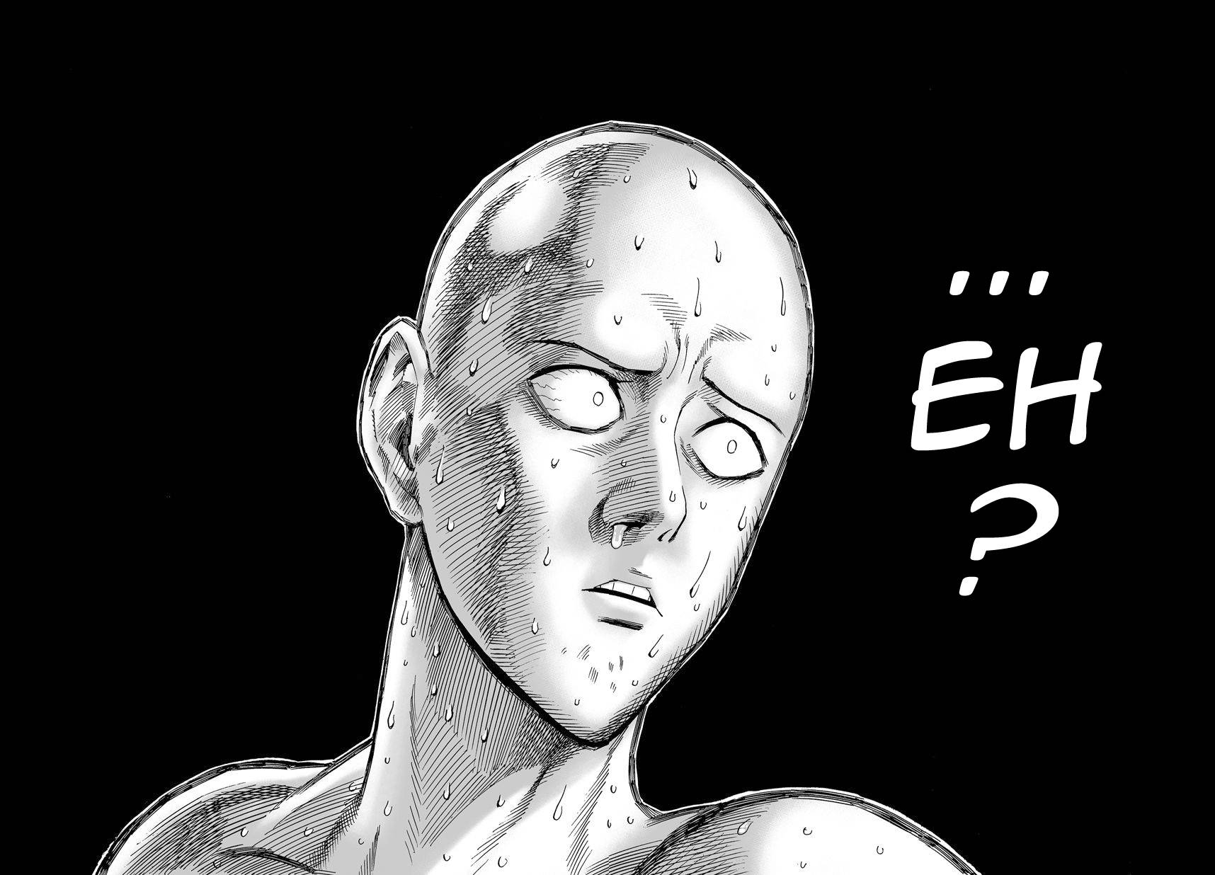 Read One-Punch Man FR Manga Online