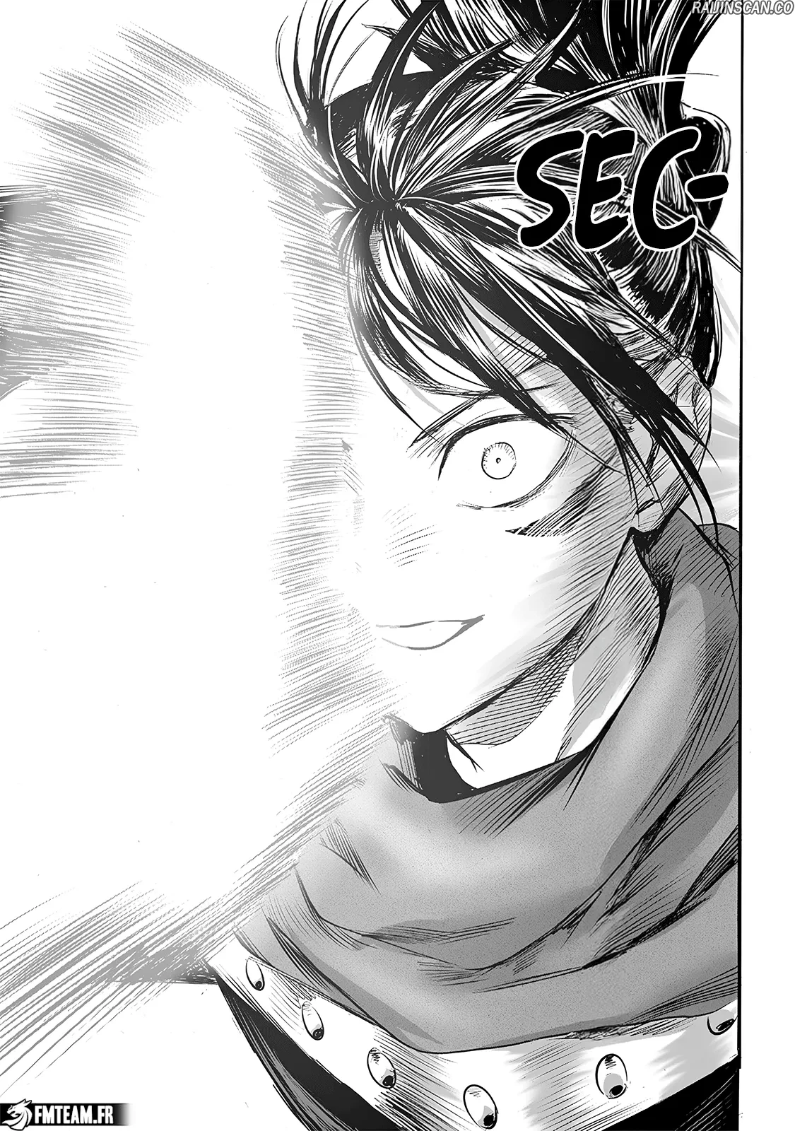 Read One-Punch Man FR Manga Online