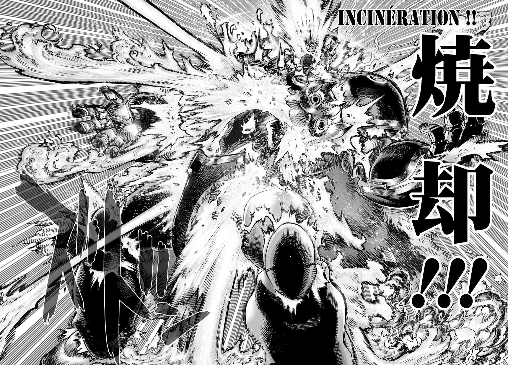 Read One-Punch Man FR Manga Online