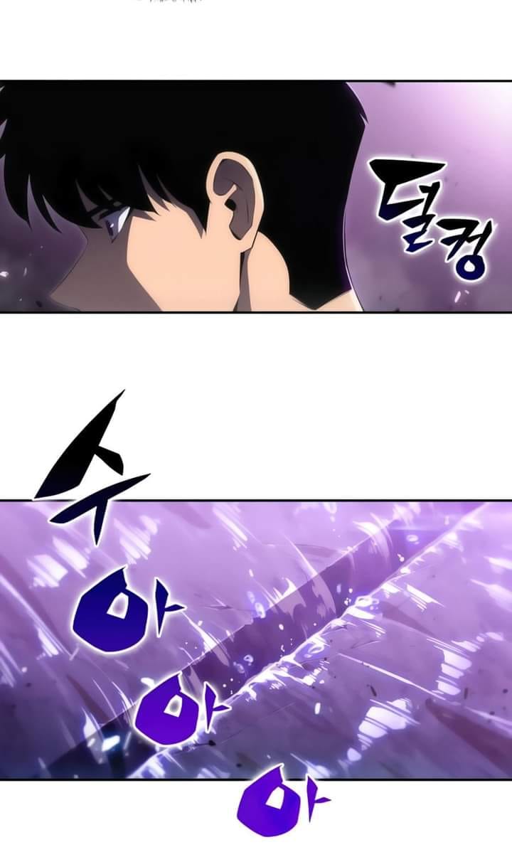 Read Solo Max-Level Newbie FR Manga Online